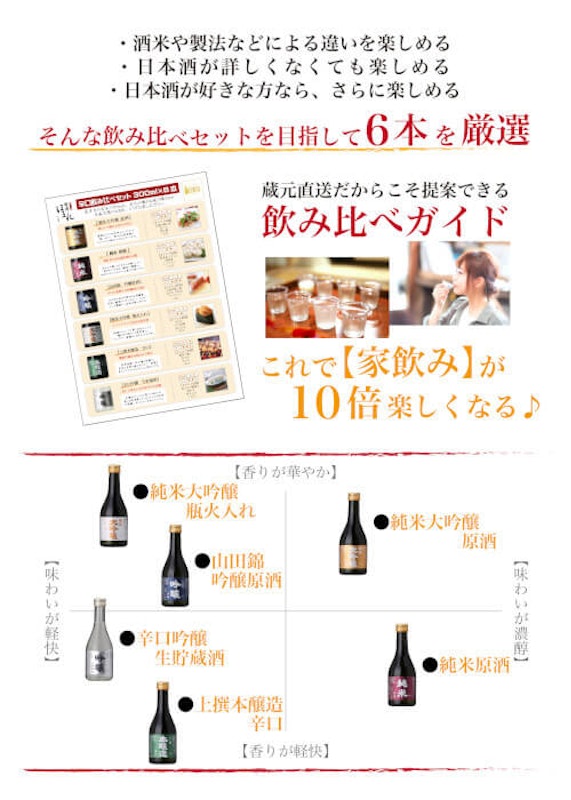 辛口日本酒 飲み比べセット 10