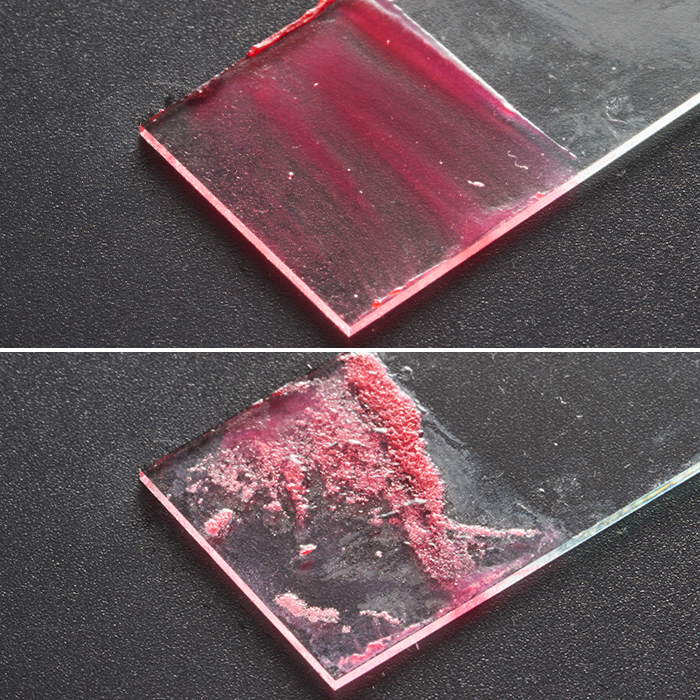 豆乳イソフラボン 洗顔を他商品と比較 口コミや評判を実際に使ってレビューしました Mybest