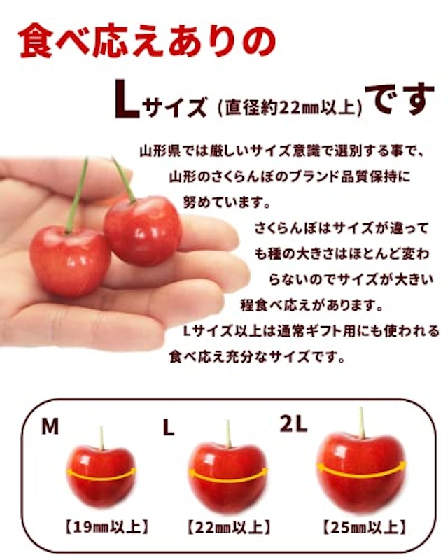 山形県産 紅秀峰 4
