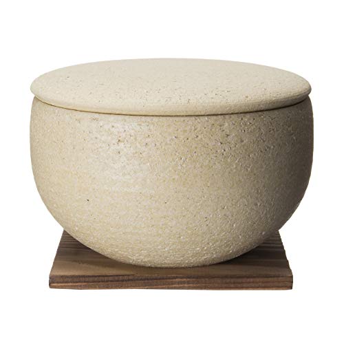 陶珍 1