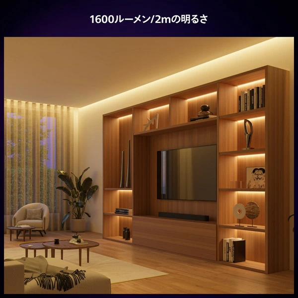 テープライト 4