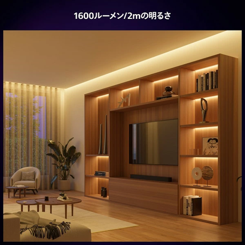 テープライト 4