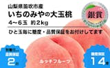 桃のふるさと納税返礼品のおすすめ人気ランキング【2026年10月】 3