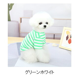 PET FiND ボールドボーダーシャツ 3