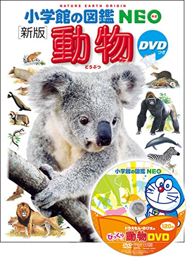 ダイヤモンドアート30×40 森の可愛い動物たちキリン 象 ライオン