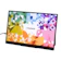 Acer 1