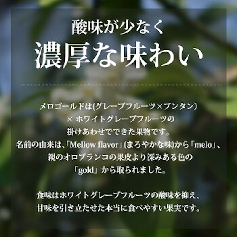 メロゴールド 2