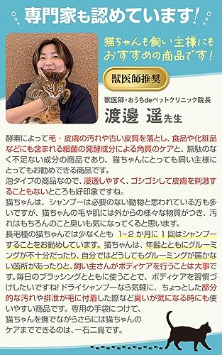 ドライシャンプー 3