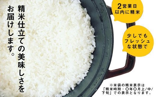 ふるさと納税 大山しらゆき米 kg コシヒカリ 玄米