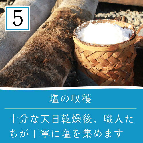 TEJAKULA バリ島の完全天日塩 あらじお 6