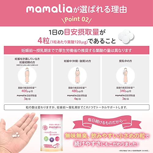 mamalia 6