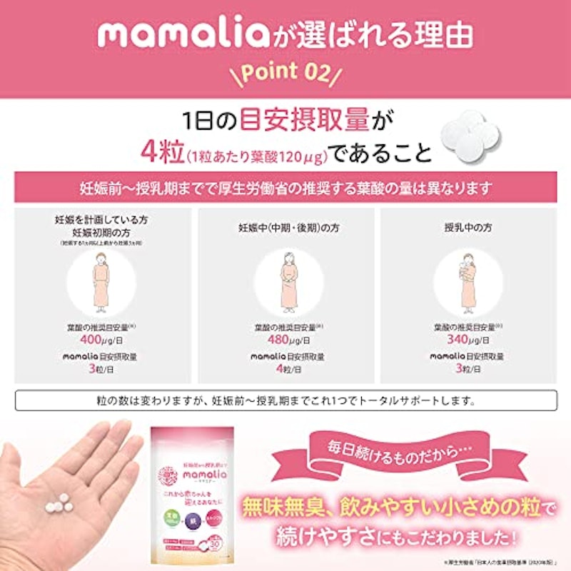 mamalia 6