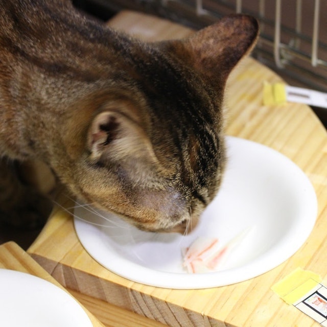 ダイソー カニカマスライスを全27商品と比較 口コミや評判を実際に使ってレビューしました Mybest