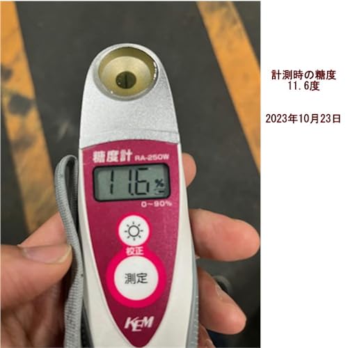 氏家さんの完全無農薬みかん 2