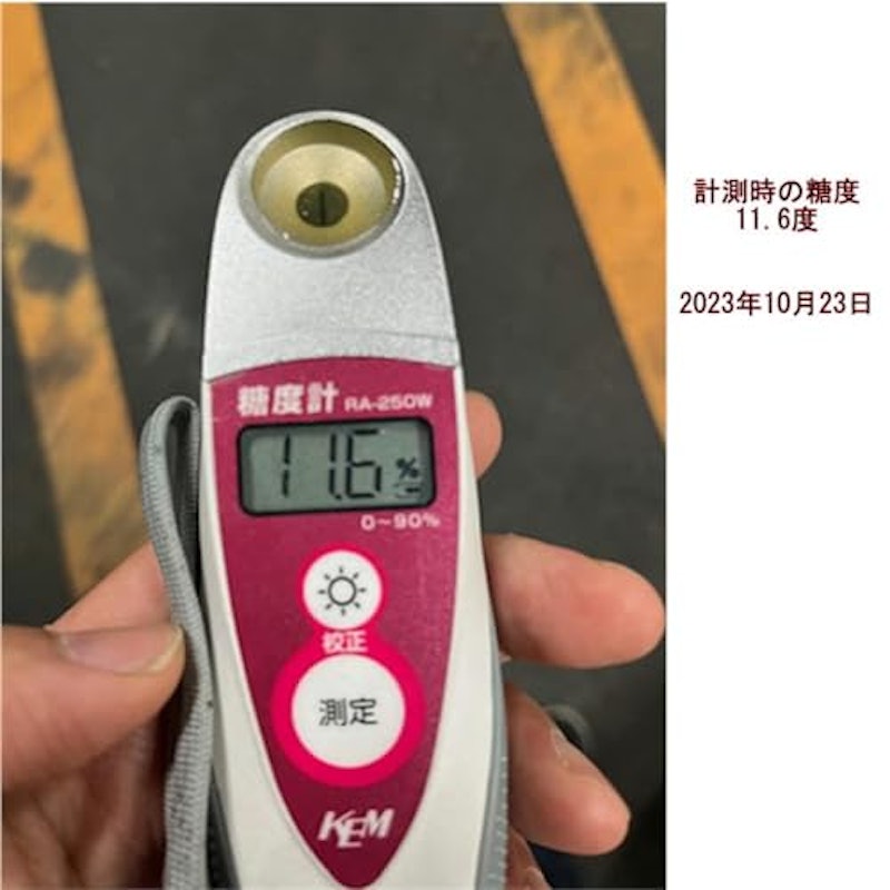 氏家さんの完全無農薬みかん 2