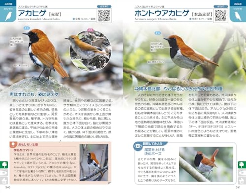 ぱっと見わけ 観察を楽しむ 野鳥図鑑 増補改訂版 5