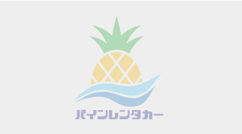 パインレンタカー 1