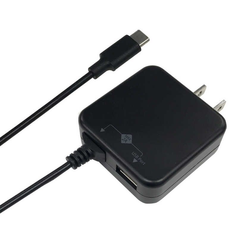 Type-C直結AC充電器 2