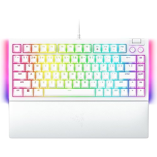 BlackWidow V4 75% 1