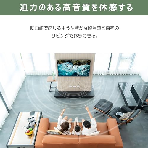 大型4Kモニター 5