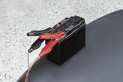 12Vバッテリー専用充電器 ALL CHARGER 6