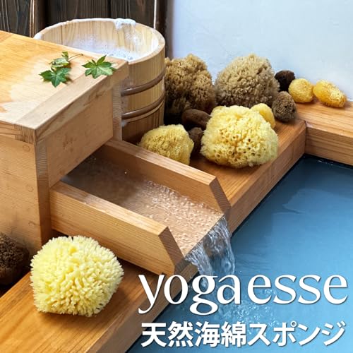 天然海綿スポンジ 7