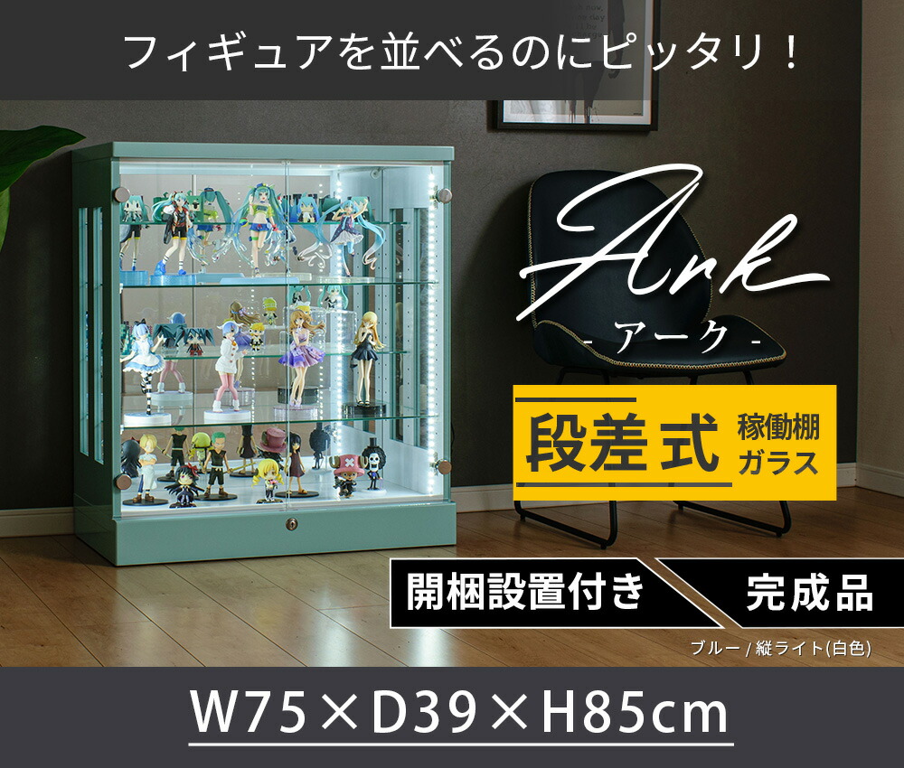 コレクションケース  2