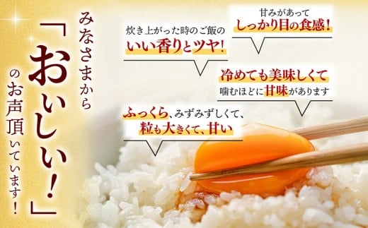 さがびより 3