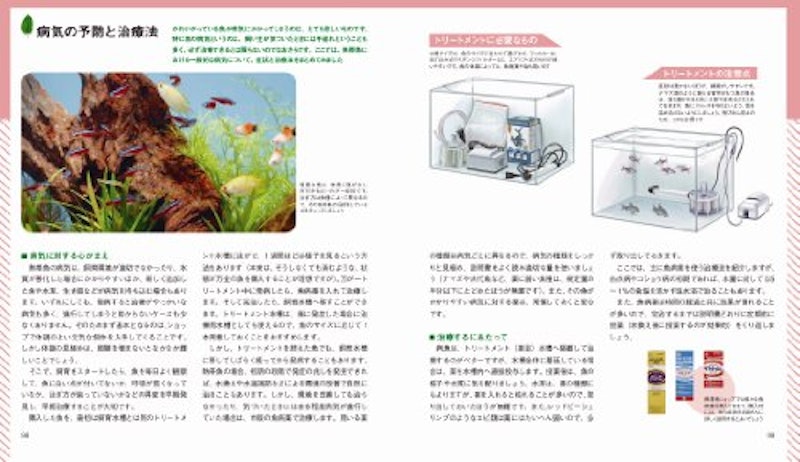 はじめての熱帯魚飼育 5