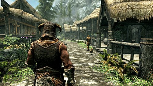 The Elder Scrolls V: Skyrim Special Edition 2
