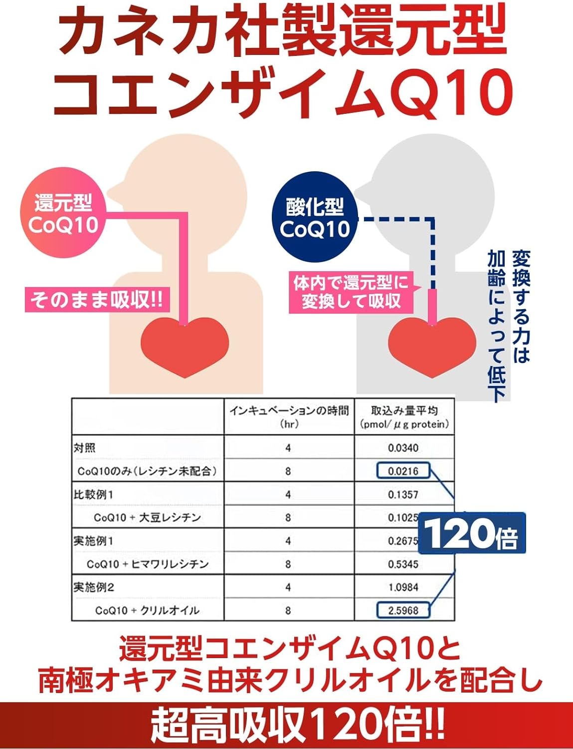 還元型コエンザイムQ10 6