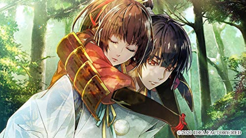 ビルシャナ戦姫 ~源平飛花夢想~ 6