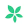 TimeTree TimeTree 1