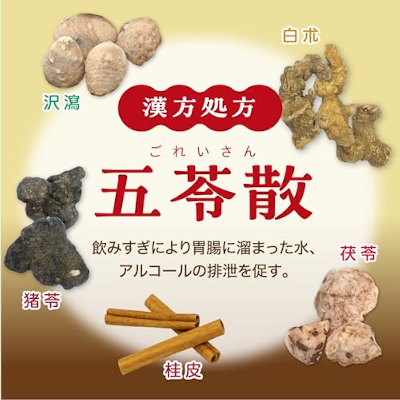 大正漢方胃腸薬 内服液 5