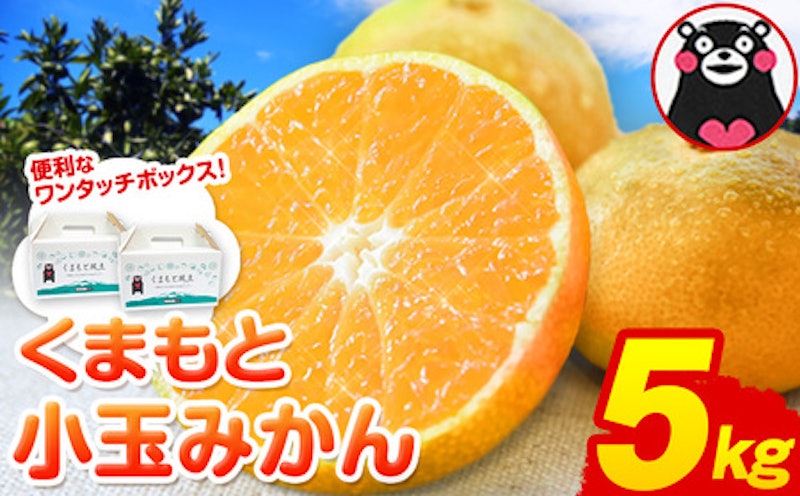 訳あり くまもと小玉みかん 1