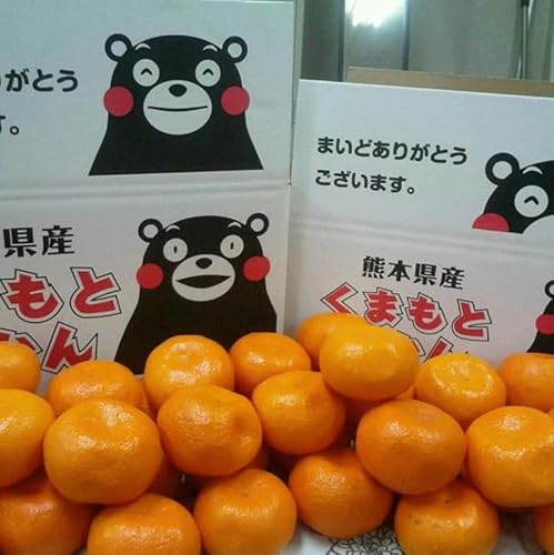 みかん10kgのおすすめ人気ランキング【2026年10月】 | マイベスト
