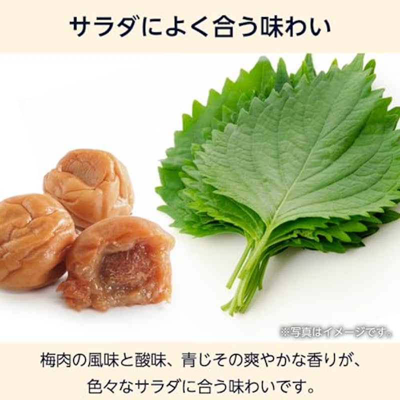 ノンオイルドレッシング青じそ 5