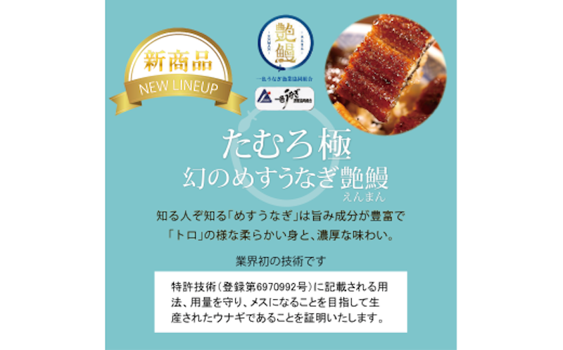 たむろ極 幻のめすうなぎ艶鰻 3