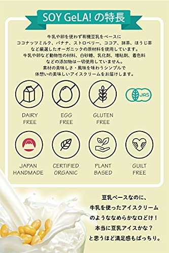 オーガニック豆乳ジェラート チョコレート 3