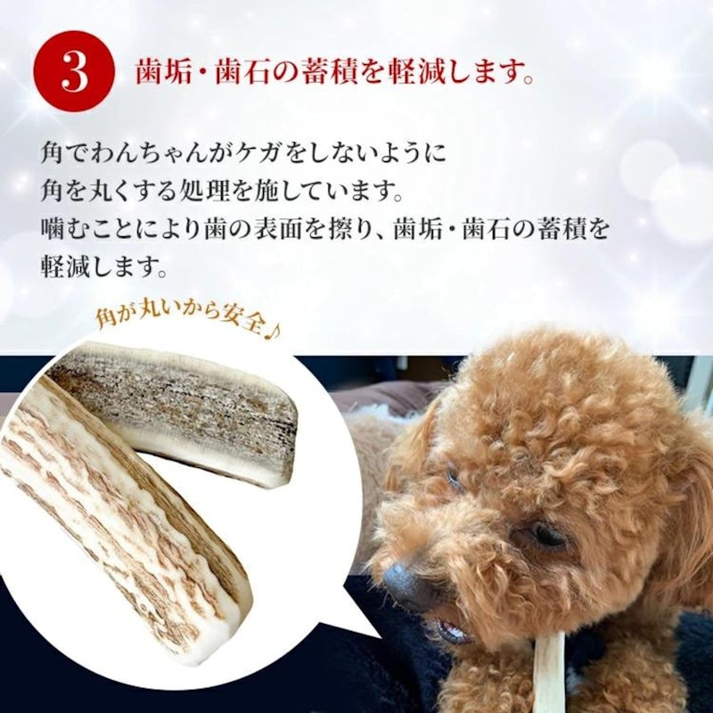 デンタルケア 鹿の角半割り 4