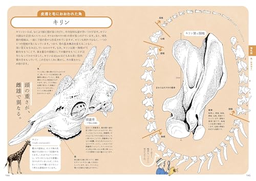 ぜんぶ絵でわかる9 すごい骨の動物図鑑 7