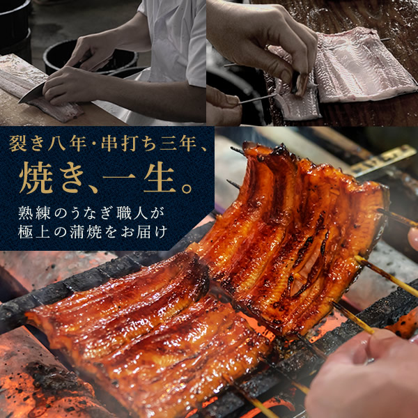 うなぎ蒲焼き 10
