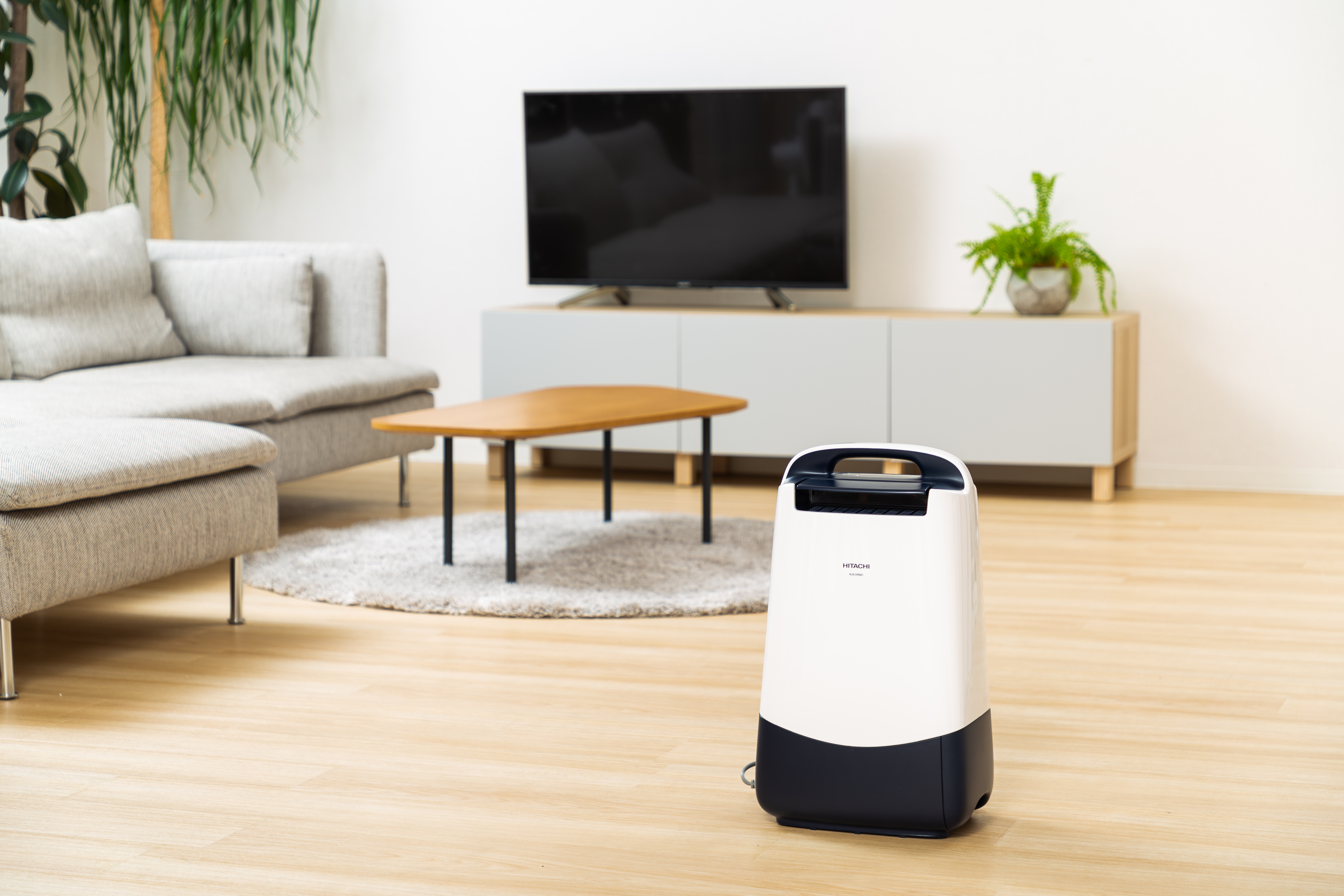 日立の除湿機のおすすめ人気ランキング【2025年11月】 | マイベスト