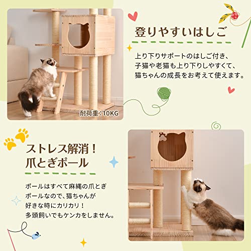 キャットタワー  7