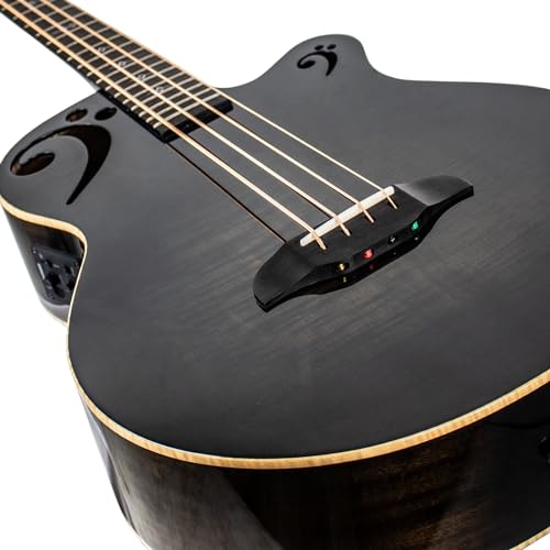 ACOUSTIC ELECTRIC BASS Designed with Rudy Sarzo 3