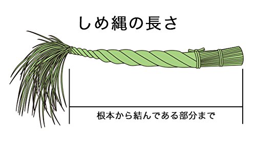 青い実取らずのワラから作ったしめ縄 4