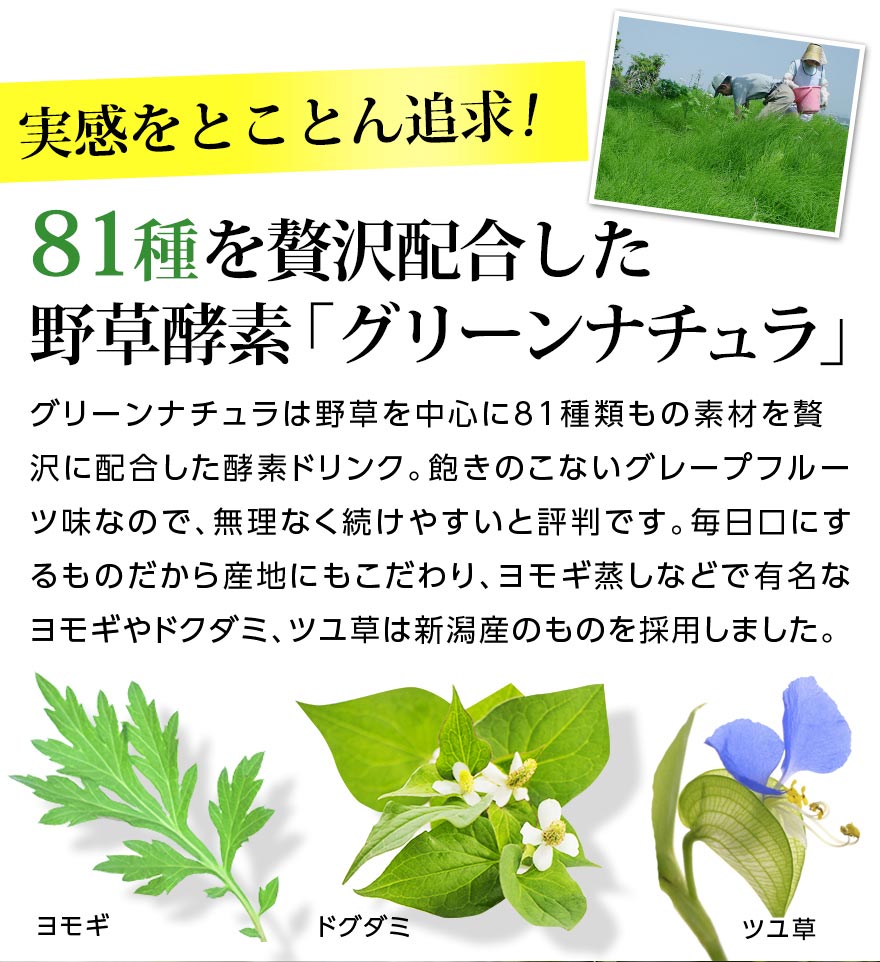 KOMBUCHA＋KOUSO Green Natura 5