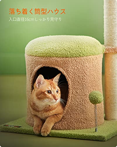 【M2090-64-36】キャットタワー ミニ子猫やシニア猫にお勧め M2090-64-36】キャットタワー ミニ子猫やシニア猫にお勧め