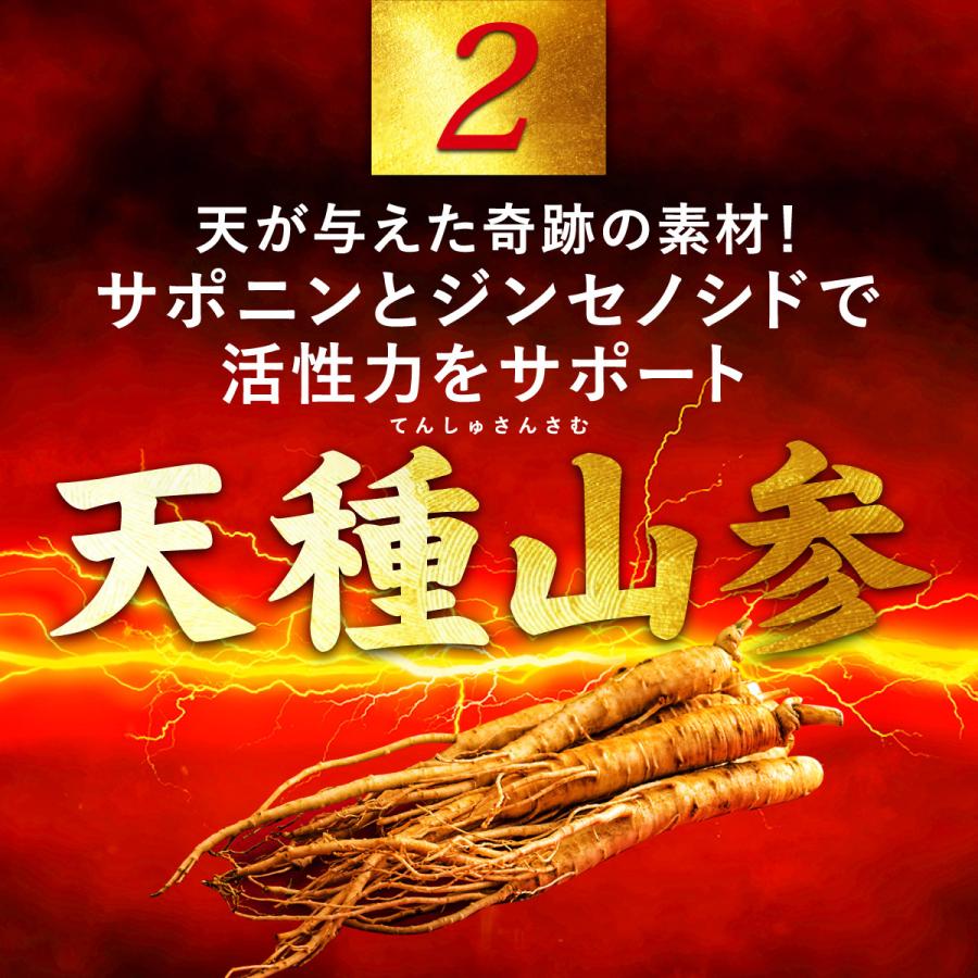闘王（ファイターキング） 3