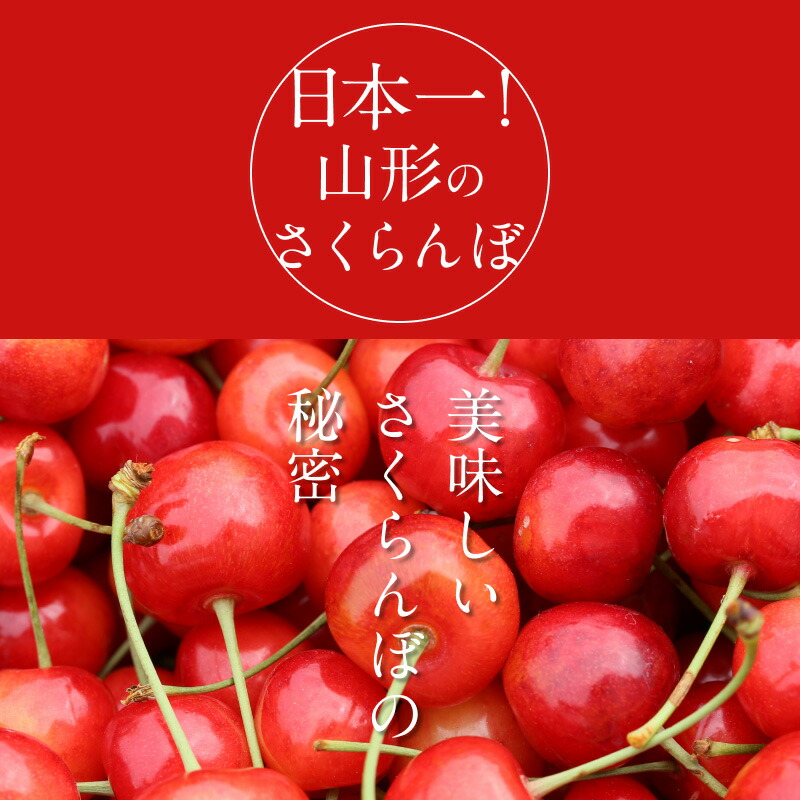 佐藤錦 3